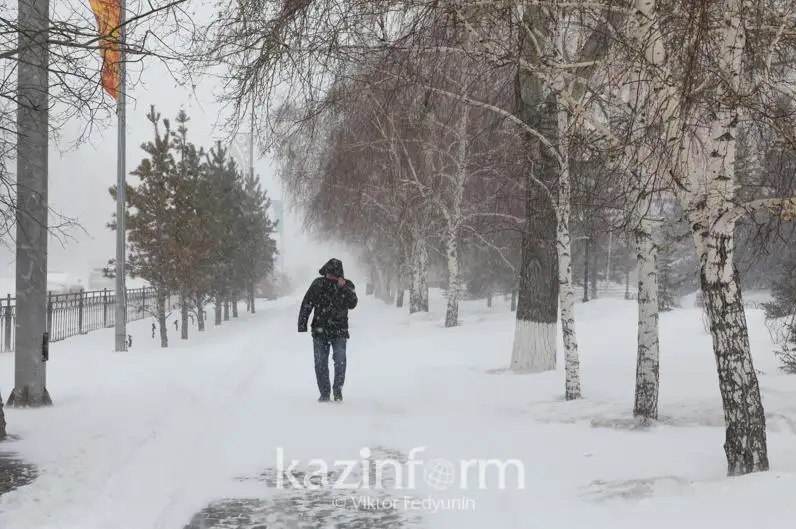 دەمالىس كۇندەرى استاناعا ايلىق نورمادان اساتىن قار ءتۇستى - اكىمدىك