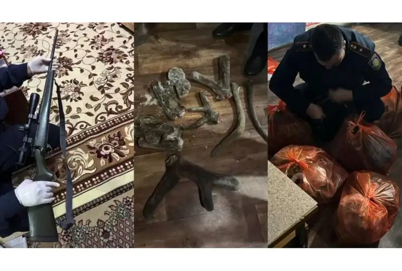 Оружие и боеприпасы хранил дома житель Алматинской области