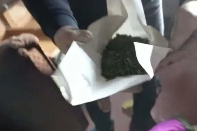 Наркотики обнаружили в домах двух жителей Туркестанской области