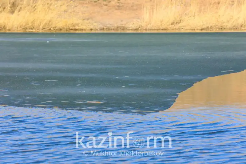 Выделить средства на реконструкцию водоснабжения в южном Казахстане просит сенатор