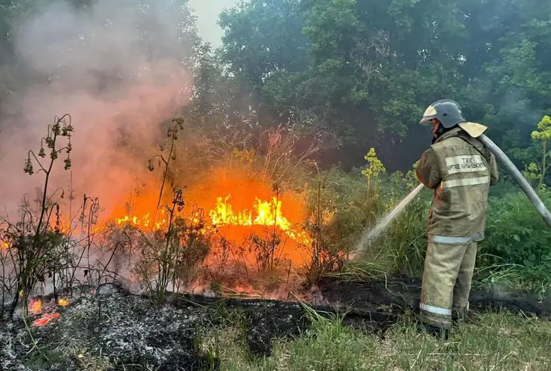 Принимаются все необходимые меры для ликвидации пожара - МЧС РК