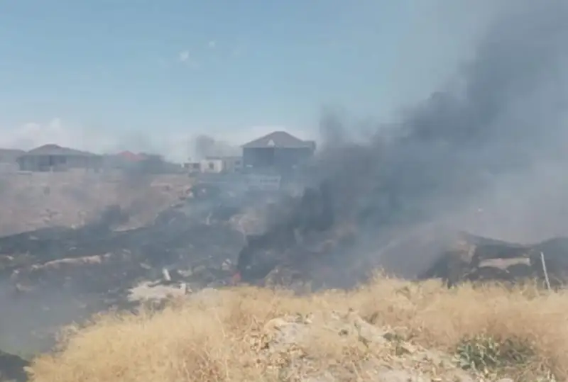 Сухостой горел в Шымкенте