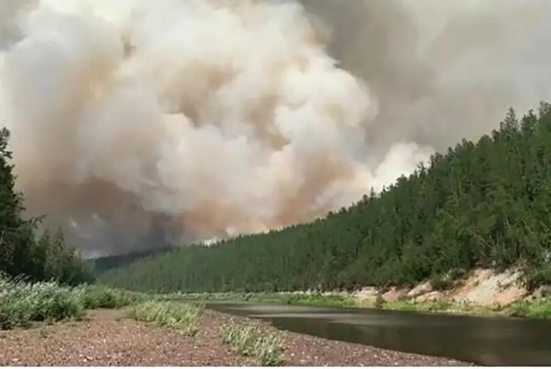 19 лесных пожаров ликвидировали за сутки в Якутии