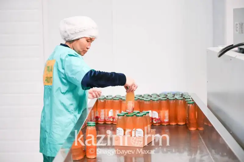 Казахстан намерен усилить работу по диверсификации экономики и развивать собственное производство