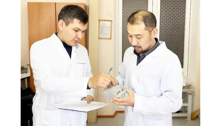 Tarazdyq ǵalymdar zilzala zardabyn azaıtatyn qurylys materıaldaryn oılap tapty