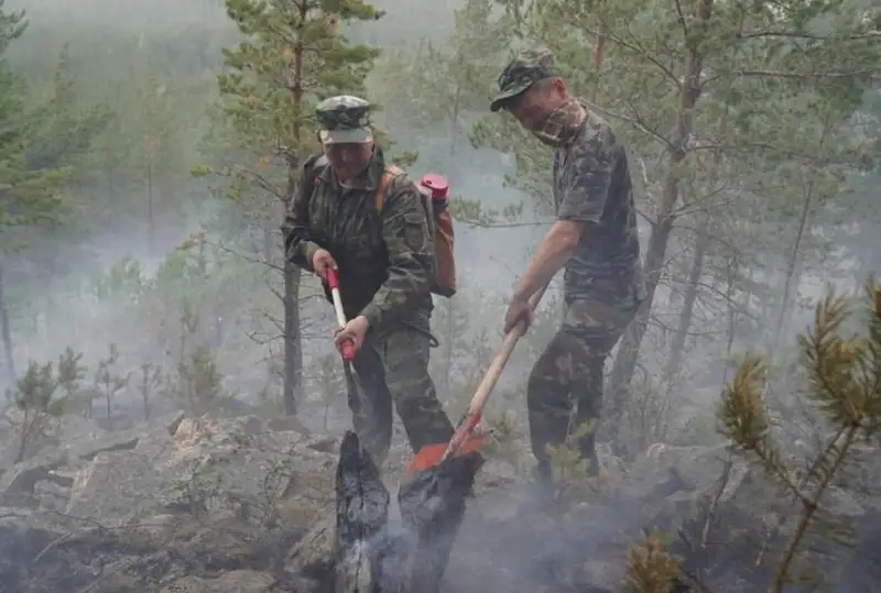 77 лесных пожаров произошло в Акмолинской области