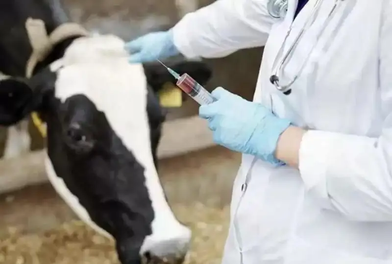 Қозоғистонда қишлоқ хўжалик ҳайвонларини баҳорги эмлаш учун 66 миллион дозадан ортиқ дори воситалари ажратилди