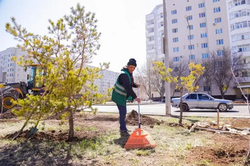 Более 3 тысяч деревьев и кустарников высадят в субботу в Астане