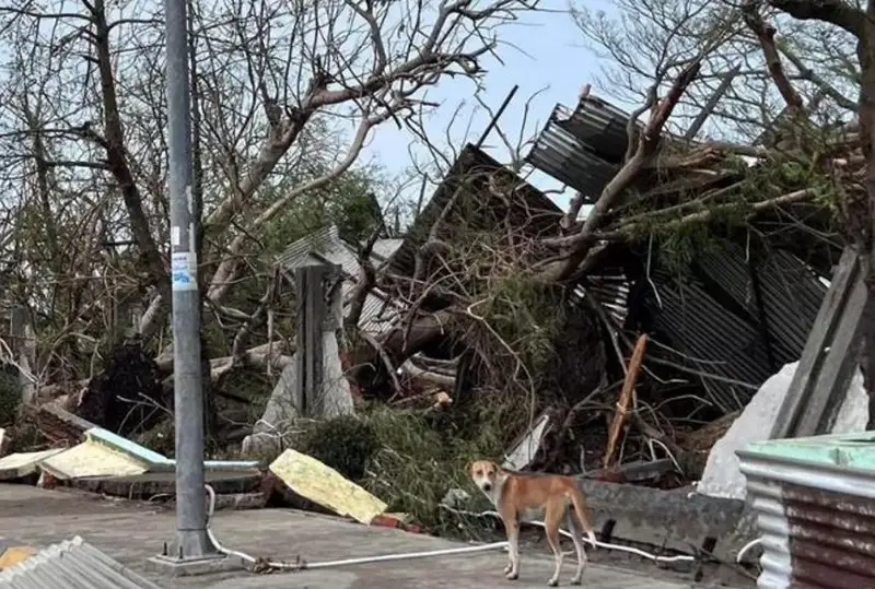Циклон Мокко свирепствует в Бангладеш и Мьянме: есть жертвы, сотни тысяч эвакуированы