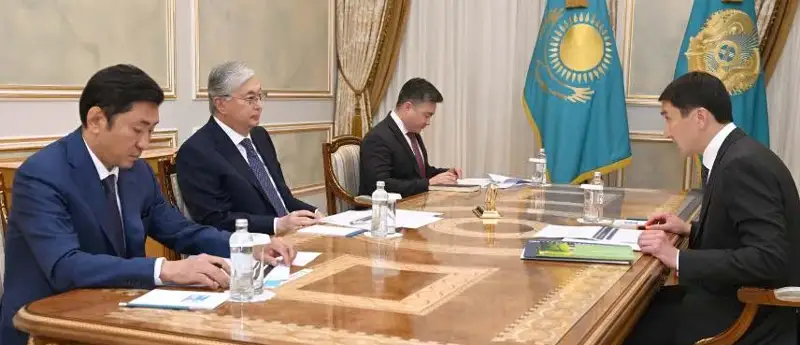 托卡耶夫总统接见国家石油天然气公司董事长
