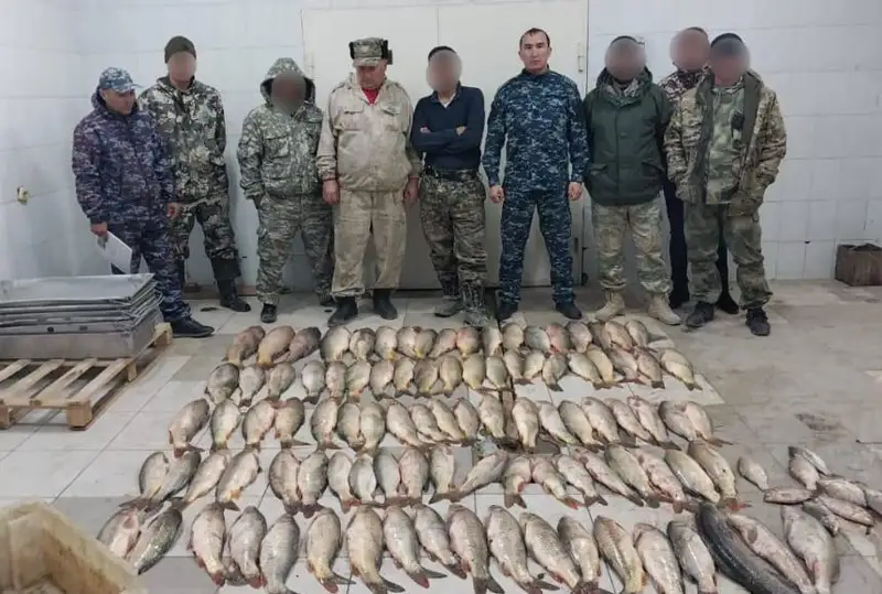 160 кг рыбы выловил браконьер в Шардаринском водохранилище