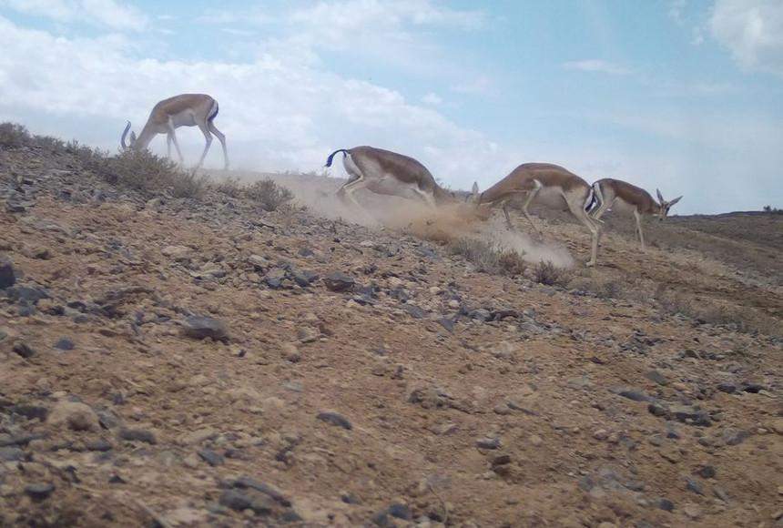вибратор ретінде велосипед Жыныс мүшесін берік ету үшін