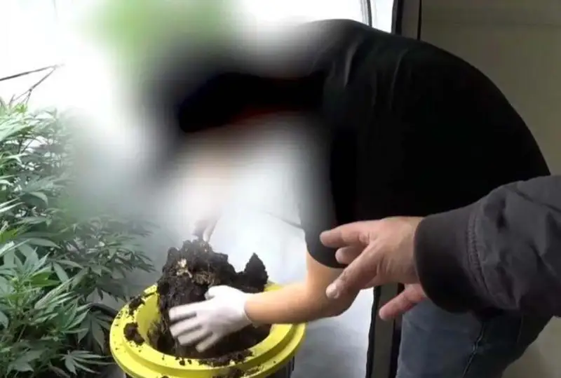 Aqtóbede 48 jastaǵy turǵyn qarasora ósiretin zerthana uıymdastyrǵan