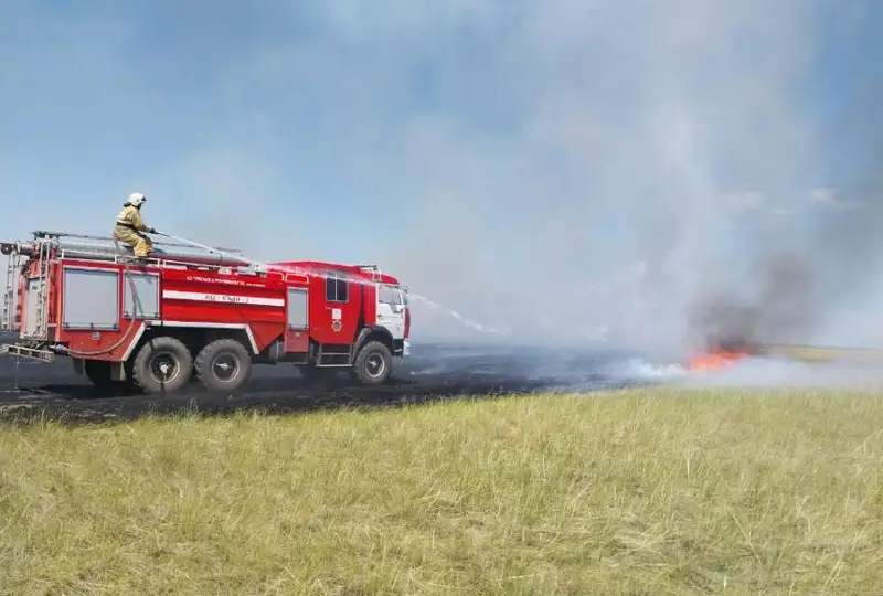 Возгорание травы ликвидировали в области Абай