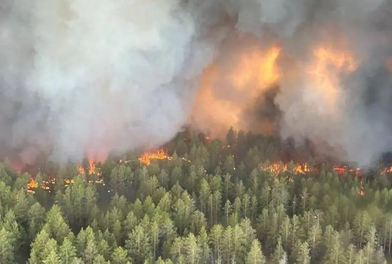 Из-за пожара в области Абай некоторые районы области Жетісу накрыл дым