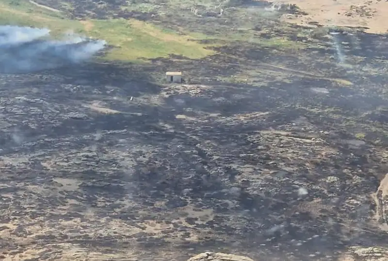 Загорание сухой травы в области Абай локализовано