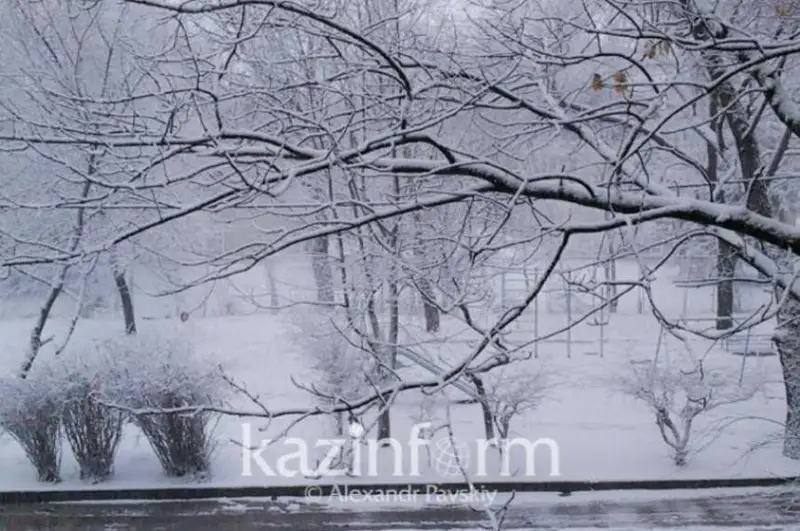 Еліміздің басым бөлігінде жауын жауып, күн жылынады