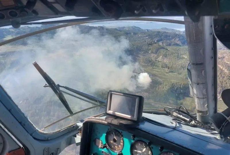 Пожар тушат в лесничестве в Восточном Казахстане