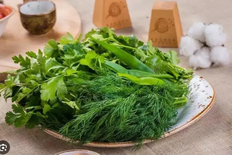 تاعامعا قوساتىن شوپتەر پايدالى ما؟