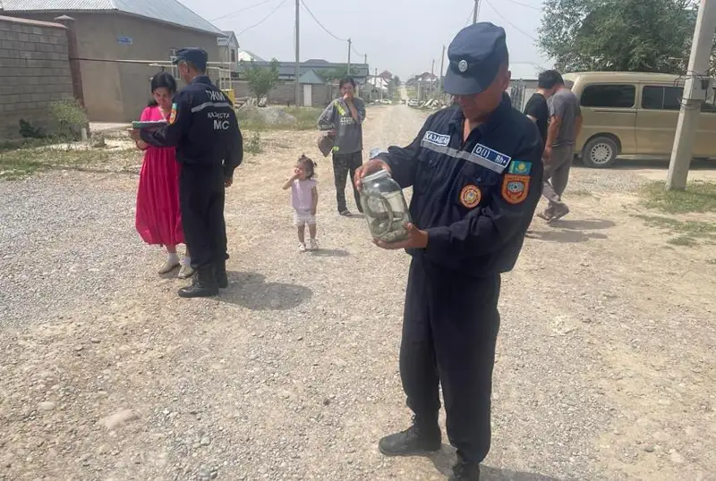 شىمكەنتتە جىلان كوبەيىپ كەتتى - ۆيدەو