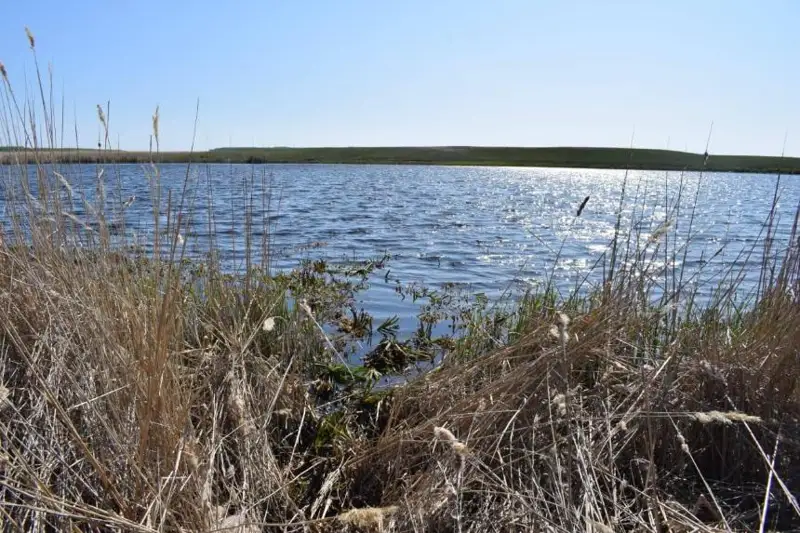 Тело пропавшей школьницы нашли в котловане в СКО