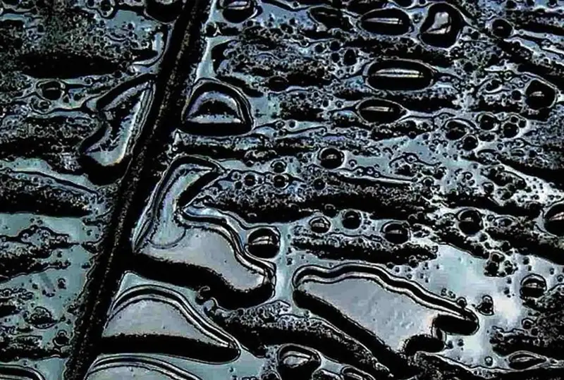 ماڭعىستاۋدا قاراۋسىز جاتقان ۇڭعىدان مۇناي اتقىلادى