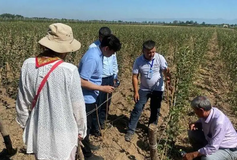 Казахстанские питомники нуждаются в грамотных агрономах  - мнение экспертов