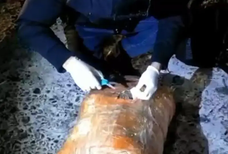 Polıtseıler poıyz jolaýshysynan asa iri mólsherde esirtki zatyn tárkiledi