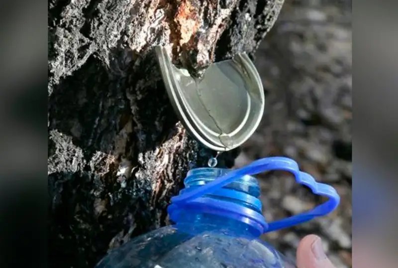 قايىڭ شىرىنىن العاندارعا 35 مىڭ تەڭگە شاماسىندا ايىپپۇل بار