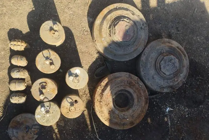 Шесть противопехотных мин и пять гранат нашел акмолинец на пустыре