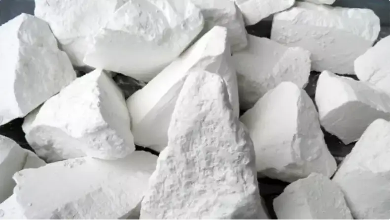 ادام نەگە بور جەگىسى كەلەدى؟