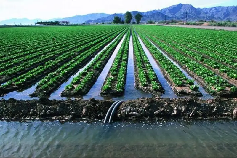 الماتى وبلىسىنىڭ شارۋالارى ەگىستىككە قاجەتتى سۋعا ءۇش ەسە قىمبات تولەپ كەلگەن