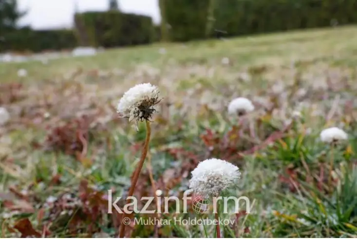 قازگيدرومەت بۇگىن 6 وبلىستا ۇسىك جۇرەتىنىن ەسكەرتتى