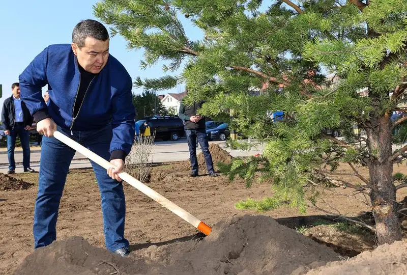 Сотрудники Аппарата Правительства высадили более сотни насаждений на столичном проспекте