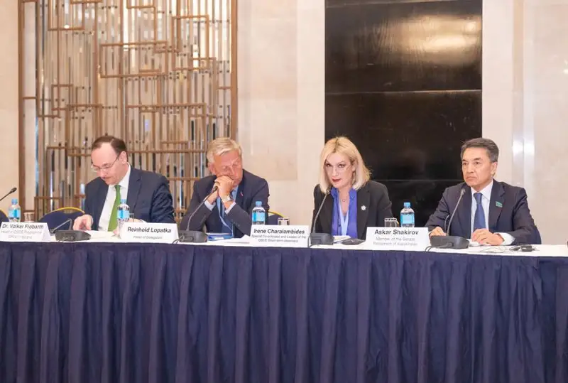 Senatorlar saılaýǵa daıyndyq barysy týraly sheteldik baıqaýshylardy habardar etti