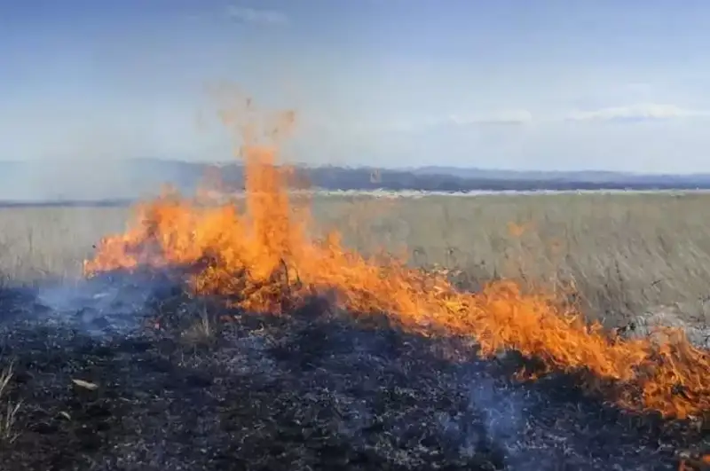 Как госфинансирование и организация труда помогли минимизировать риски от природных пожаров
