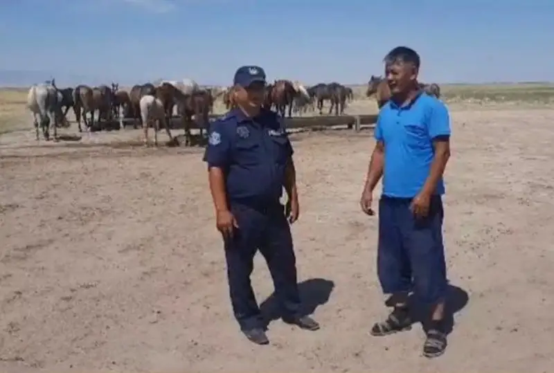 Пропавший табун лошадей вернули хозяину жамбылские полицейские
