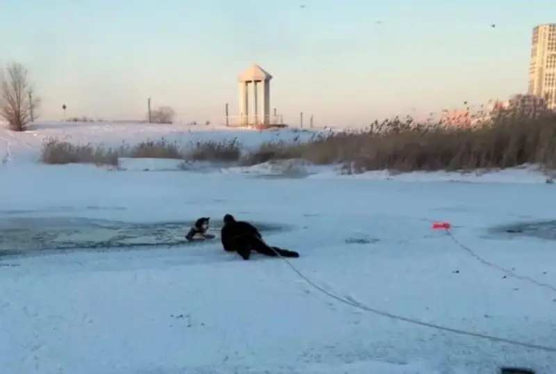 Тонущих в реке женщину с собакой спасли в Астане
