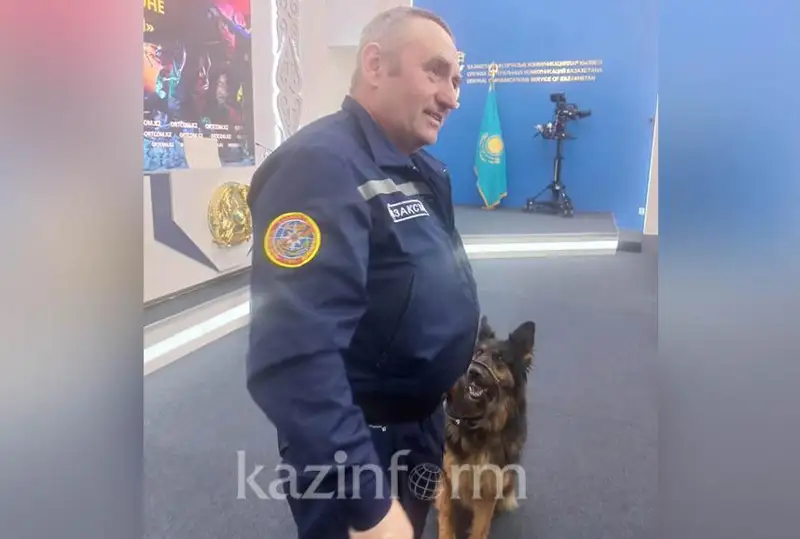Mırta esimdi ıt Túrkııada bir adamdy qutqarǵan