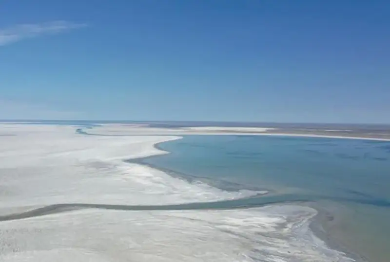 ارال تەڭىزىندە بالىق جاپپاي قىرىلۋى مۇمكىن - دەپۋتات