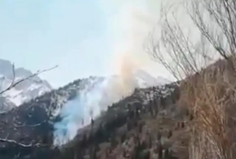 Пожар на склоне горы в Медеу полностью не ликвидирован - ДЧС