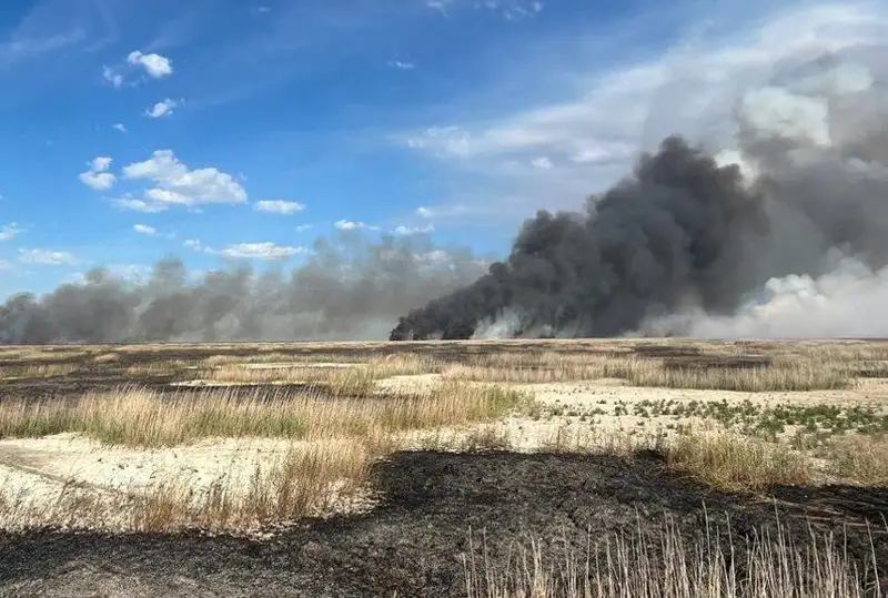 450 гектаров тростниковых зарослей горят на побережье Каспия