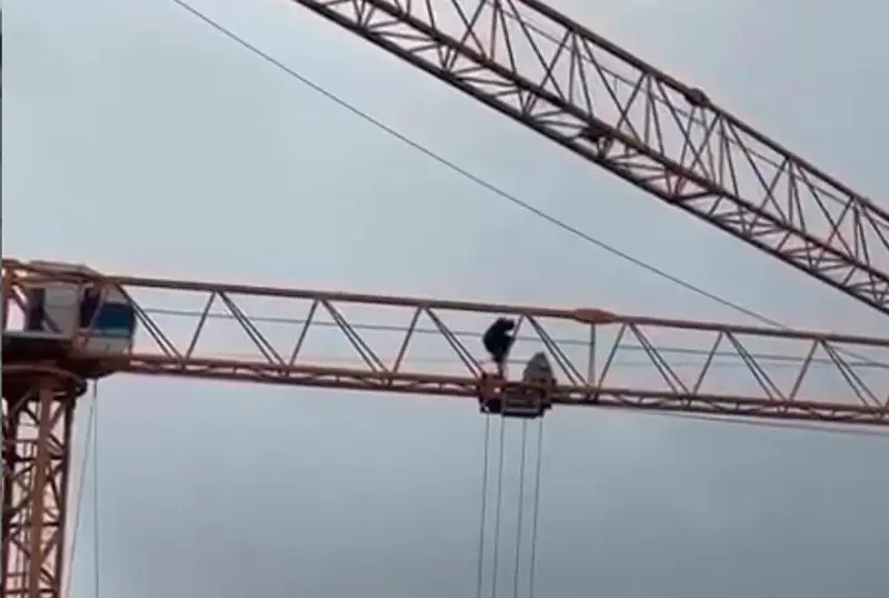 Мужчина забрался на башенный кран в Астане