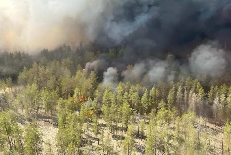 Вертолет привлекли для тушения лесного пожара в Абайской области