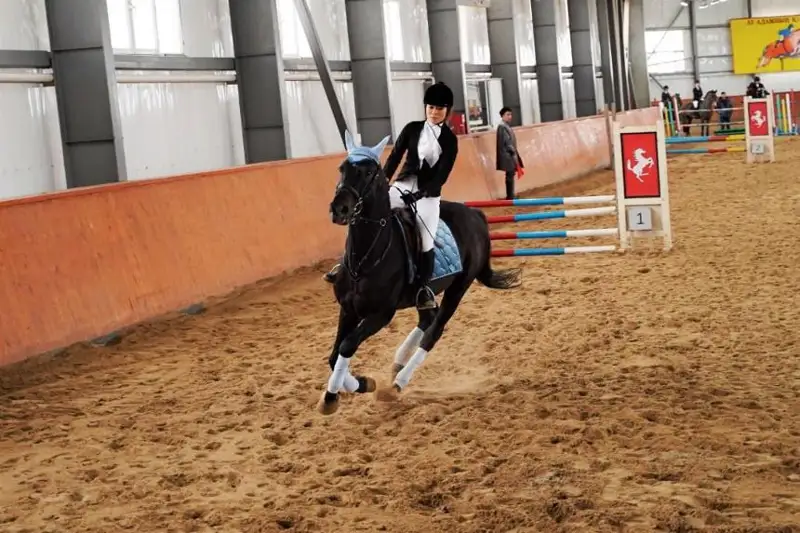 Кубок единства народа по конному спорту разыграют в Астане