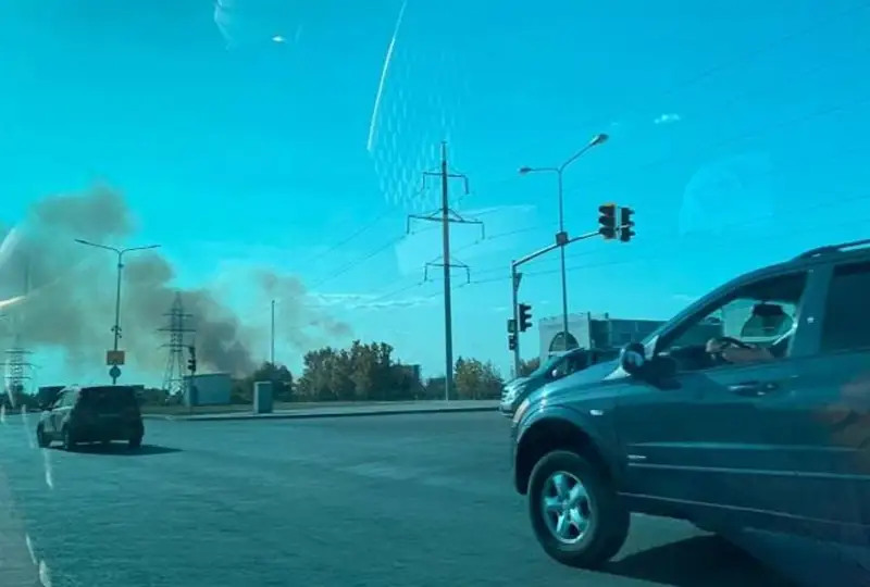 Сухостой горит в Астане