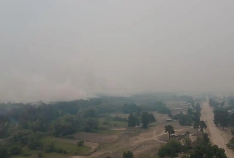 Акимат области Абай: Информация о 14 погибших работниках лесничества - фейк