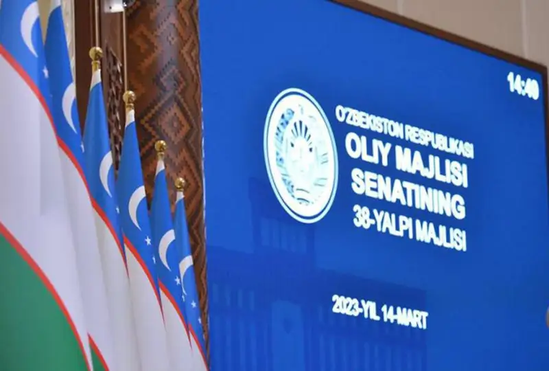 Сенат Узбекистана одобрил проект закона о новой конституции