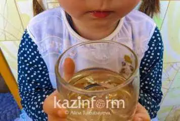 2023 jyly Abaı oblysynda aýyz sýmen qamtý boıynsha 33 joba iske asady