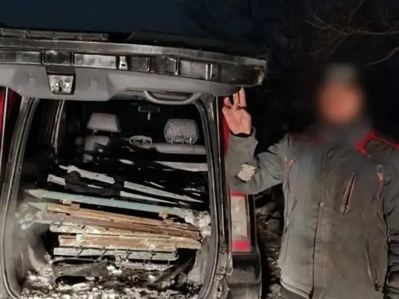 وسكەمەندە 10 عا جۋىق زيراتتى بۇلدىرگەن ەر ادام ۇستالدى